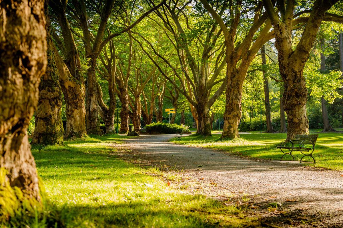 Park 3